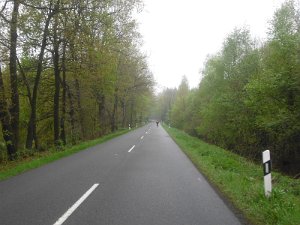 Buchholz 2010 057
